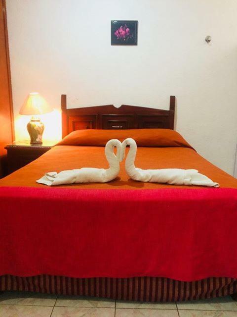 Hotel Maria'S Nicte Ha Progreso  Ngoại thất bức ảnh